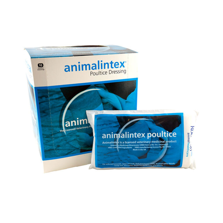Animalintex Poultice