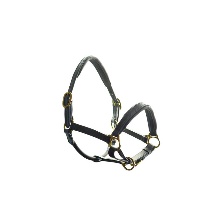 Headcollar Dever Leather Padded