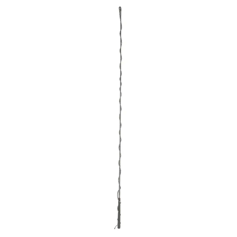 Lunge Whip 183cm