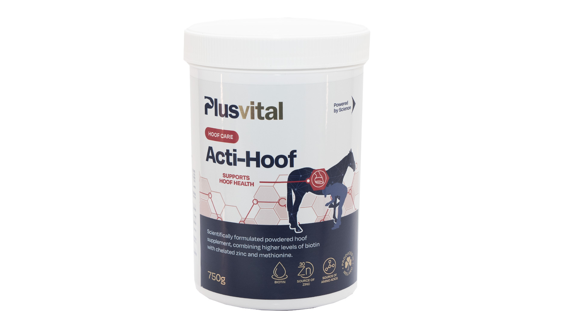 Plusvital Acti-Hoof - Image 2
