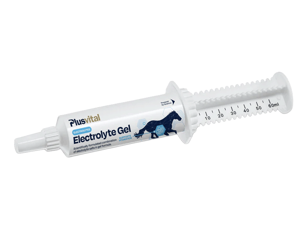 Plusvital Electrolyte Gel - Image 1