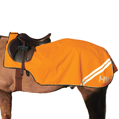 orange-Reflective-Fleece-Exercise-Sheet